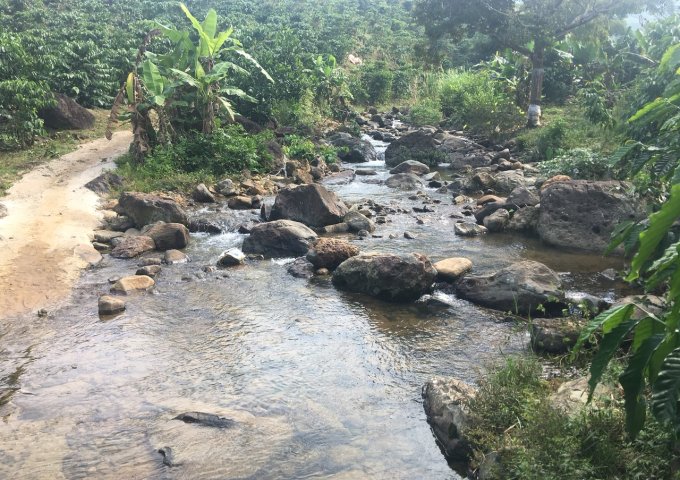 Khu nghỉ dưỡng 13000m2,đường betong 3m view nhìn ra đinh đồi, có đường bê có đường nhỏ betong lên tới đinh đồi.