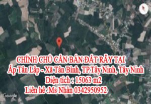 CHÍNH CHỦ CẦN BÁN ĐẤT RẪY TẠI Ấp Tân Lâp - Xã Tân Bình, TP.Tây Ninh, Tỉnh Tây Ninh