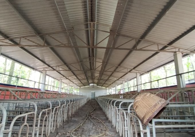 Bán trang trại mới xây giá rẻ ngay Tân Uyên, Bình Dương