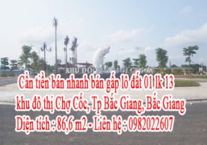 Cần tiền bán nhanh bán gấp lô đất 01 lk 13 khu đô thị Chợ Cốc, Tp Bắc Giang, tỉnh Bắc Giang