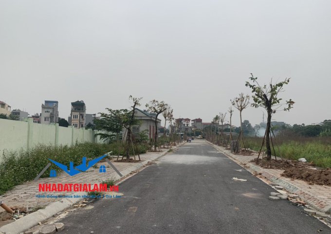 Bán 85m2 đất đấu giá mặt đường 40m xóm Lò,Thượng Thanh, Long Biên