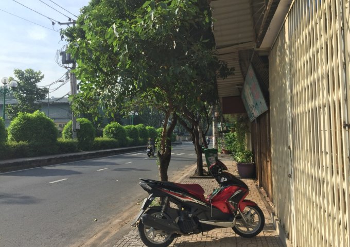 Cho Thuê Nhà  - Phường 15 - Quận Gò Vấp - TP Hồ Chí Minh