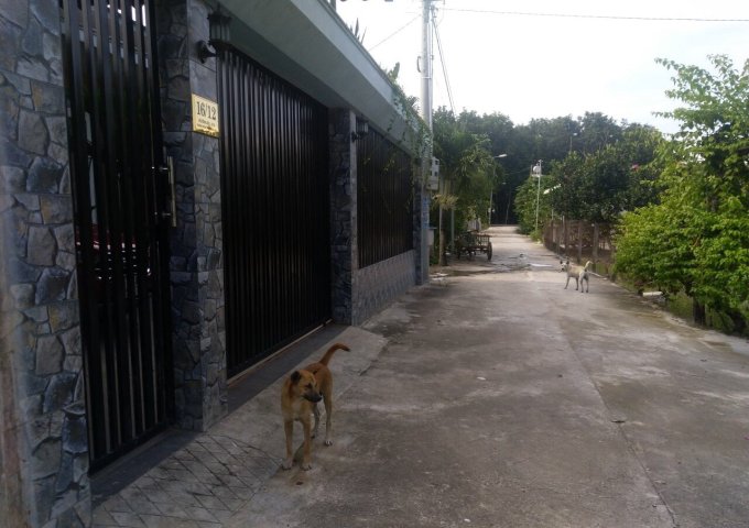 Đất nhánh DX02 phú mỹ, thủ dầu một, Bình Dương giá chỉ 10,5 triệu/m2