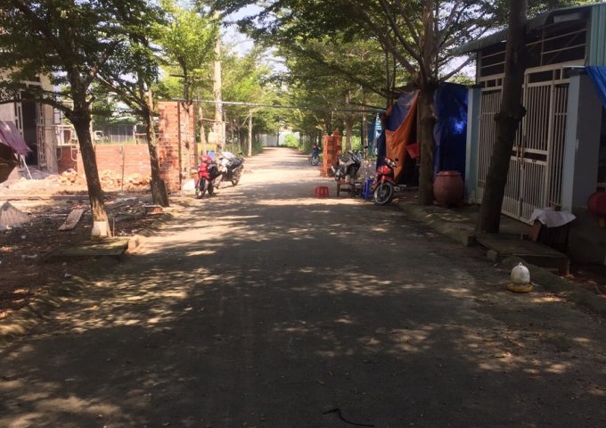 Cần bán đất đường D8 chính chủ tại Phường Tân Định,Bến Cát,Bình Dương