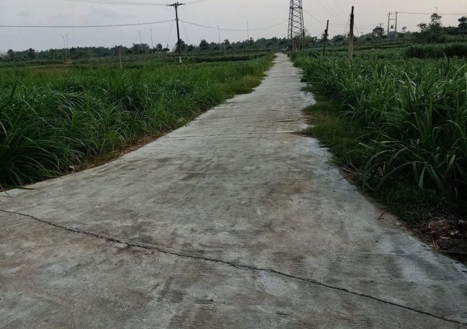 Bán đất tại Xã Tịnh An, Sơn Tịnh,  Quảng Ngãi diện tích 100m2
