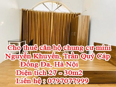 Cho thuê căn hộ chung cư mini Nguyễn Khuyến, Trần Quý Cáp, Đống Đa HN.