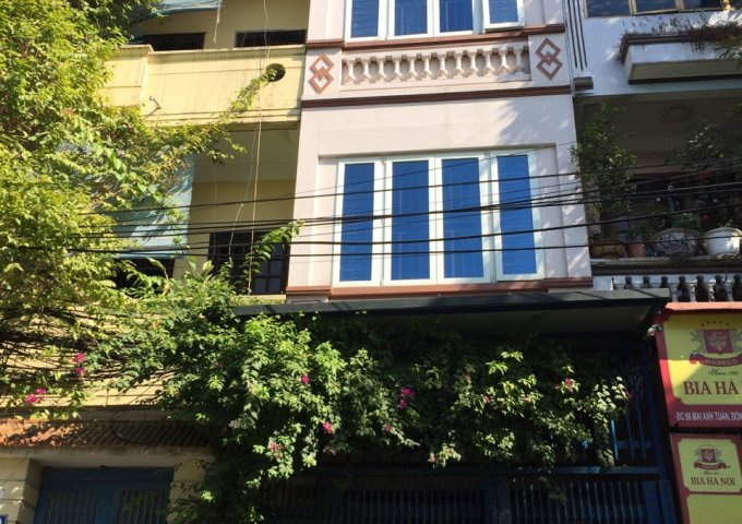 Bán nhà mặt phố tại Đường Mai Anh Tuấn, Đống Đa,  Hà Nội diện tích 48.7m2  giá 14 Tỷ