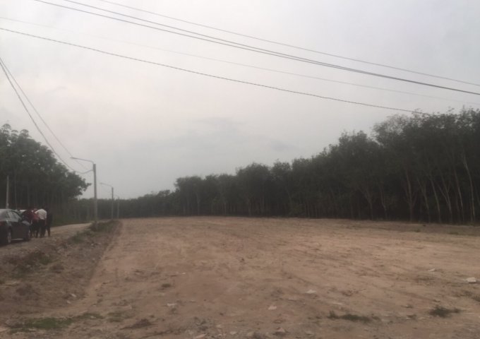 Cần bán 5 lô đất tại Xã Nha Bích , Chơn Thành - Bình Phước