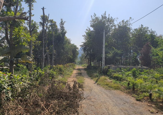Bán trang trại, khu nghỉ dưỡng tại Xã Liên Sơn, Lương Sơn, Hòa Bình diện tích 20,042m2