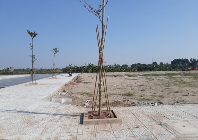 Cần bán lô đất siêu đẹp Quang Minh-Gia Lộc,diện tích :100m2,sổ đỏ trao tay