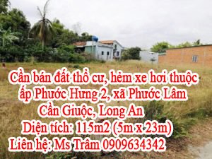 Cần bán đất thổ cư, hẻm xe hơi thuộc ấp Phước Hưng 2, xã Phước Lâm, Cần Giuộc, Long An.
