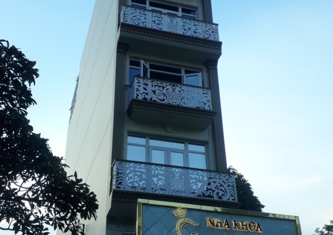 Bán nhà xây khách sạn cách Bitexco, đối diện chợ Bến Thành, p. Nguyễn Thái Bình, q1, 14.5x24m vuông