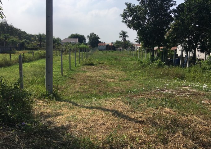 Bán thửa đất gần 1 công, gần Nhà Thờ - Chùa ở xã Thái Mỹ Củ Chi