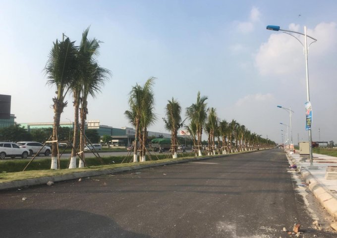 Bán đất nền dự án Đường Quốc Lộ 10, Xã lê Lợi, Huyện An Dương, Hải Phòng