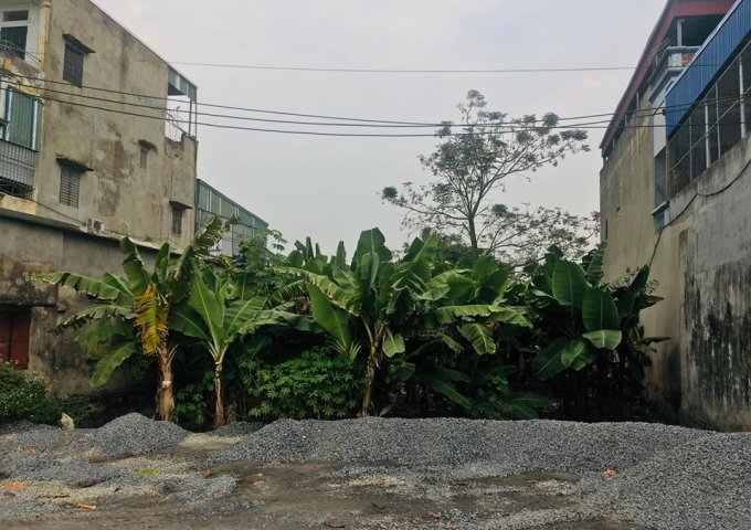 Bán đất tại Đường 21, Mỹ Lộc,  Nam Định diện tích 117m2  giá 600 Triệu
