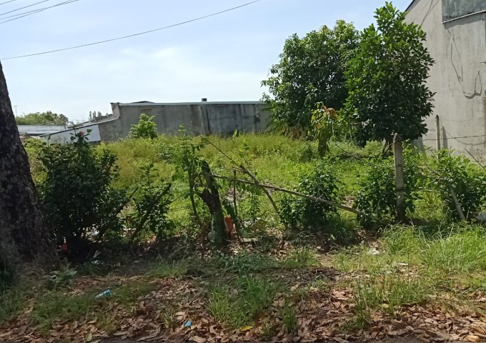 Bán 100m2 lô đất  trên đường tỉnh lộ 8 , huyện củ chi
