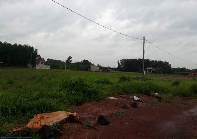 Đất nền gần chợ Vĩnh Tân, Vĩnh Cữu, Đồng Nai, DT 100m2, lh 0971418614