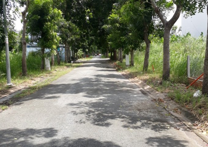 Bán đất KDC 13C Greenlife, vị trí đẹp gần trường học, SHR, giá 3,25 tỷ