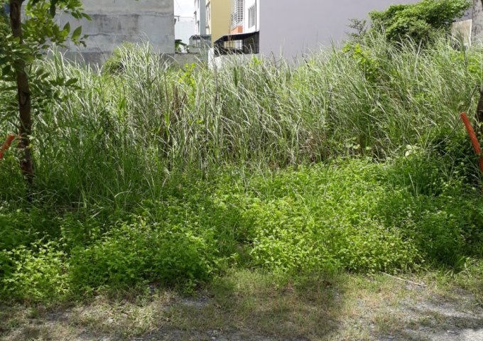 Bán đất KDC 13C Greenlife, vị trí đẹp gần trường học, SHR, giá 3,25 tỷ