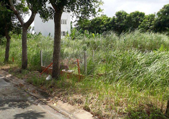 Bán đất KDC 13C Greenlife, vị trí đẹp gần trường học, SHR, giá 3,25 tỷ