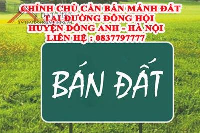 Chính chủ​ cần bán mảnh đất tại đường Đông Hội - Huyện Đông Anh - Hà Nội