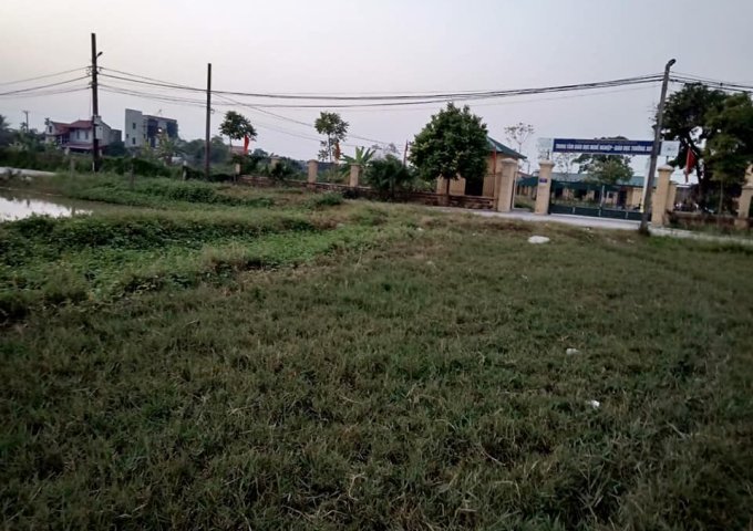 Cần bán đất xóm 4, Thượng Kiệm, Kim Sơn, Ninh Bình