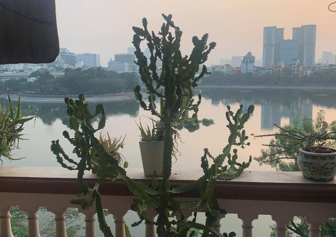 Bán nhà mặt phố Mai Anh Tuấn, view hồ Hoàng Cầu, 49m2 x 4 tầng, mặt tiền 3.4m, giá 14 tỷ