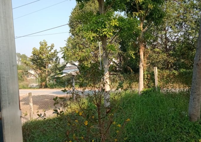 Chính chủ bán nhà + đất đẹp tại rạch bờ cua, Ấp 4, xã Phước Lợi, Huyện Bến Lức