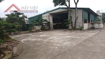 Cần Tiền Bán Gấp Nhà Xưởng 5000M2 Tại Huyện Nông Cống, Tỉnh Thanh Hóa