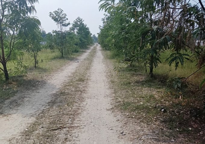 Chính chủ cần bán gấp lô đất đẹp ở Xã Vĩnh Lộc B. Huyện Bình chánh. Tp.HCM