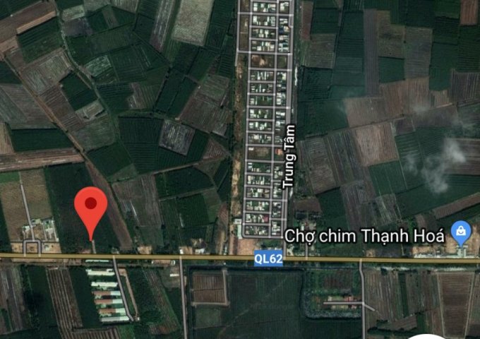 BÁN ĐẤT KHU PHỐ 1, THỊ TRẤN THẠNH HÓA, HUYỆN THẠNH HÓA, TỈNH LONG AN