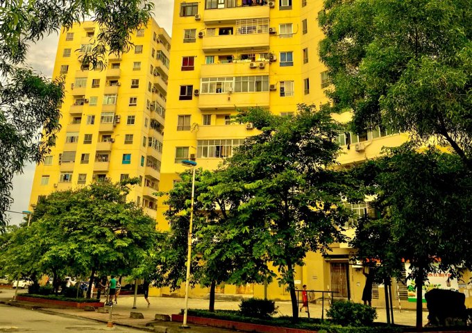 Cho thuê căn hộ chung cư B11A Nam Trung Yên LH : 0855444492