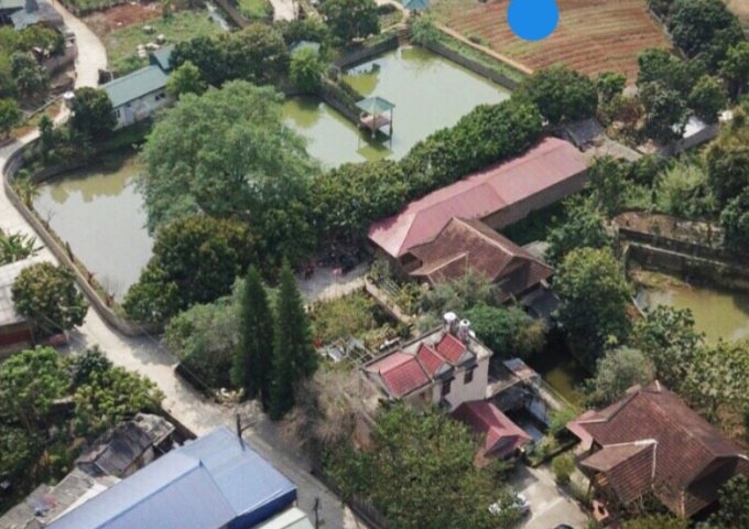 Cho thuê lâu dài Diện tích 4000 m2 đất tại tiểu khu 2,  đường Phan Đình Giót, thị trấn Mộc Châu.
