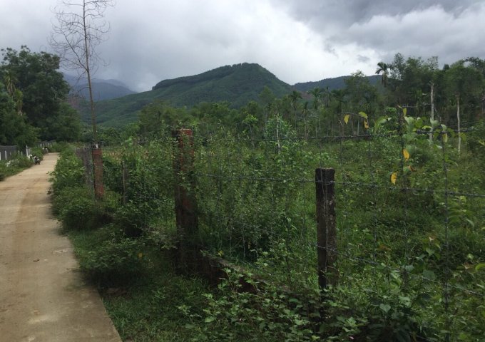 Bán gấp trang trại nhà vườn thôn Trung Nghĩa - xã Hòa Ninh - Hòa Vang - Đà Nẵng