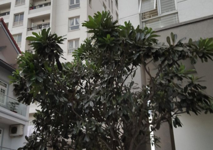 Bán gấp căn hộ 3 PN, Chung cư Splendor P6 Gò Vấp.