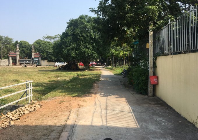 Bán ô đất Xóm Chùa, Định Trung, dt 392.7m2, gần Đền đậu, gần trường cấp 3 mới. Lh: 0972419997
