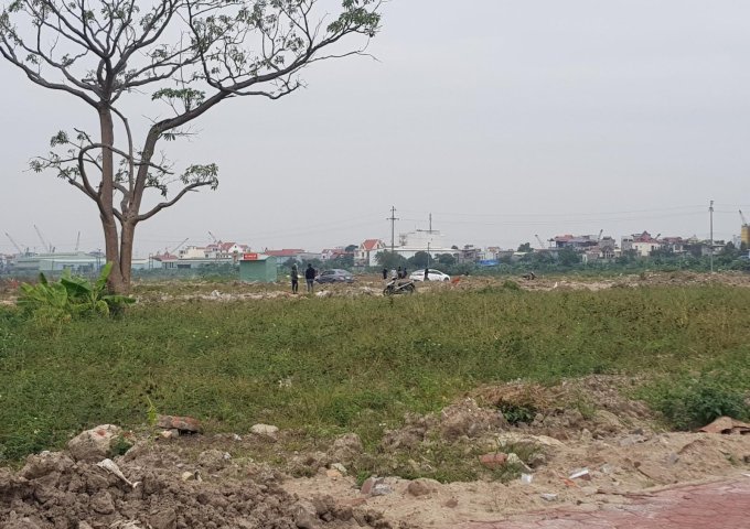 Bán lô đất 100m2 mặt đường 41m tại khu phân lô quận Hồng Bàng, Hải Phòng – LH:0904621885