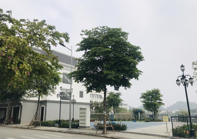 Bán nhà mặt phố tại Dự án Vincom Yên Bái, Yên Bái, Yên Bái diện tích 75m2 giá chỉ từ 2 Tỷ