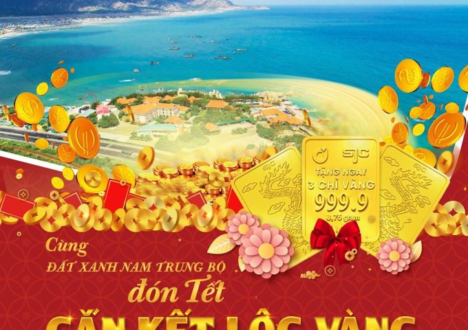 Đất nền phía Nam Ninh Thuận - Tọa độ HOT cho nhà đầu tư dịp cuối năm