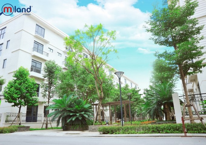 Phòng kinh doanh CĐT cập nhật thông tin mới nhất về căn hộ Chung cư dự án Pandora 53 Triều Khúc.