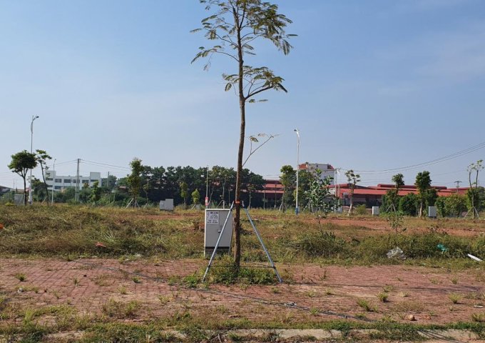 Bán những ô đất nền ngoại giao, vị trí đẹp dự án Kalong Riverside City, Móng Cái