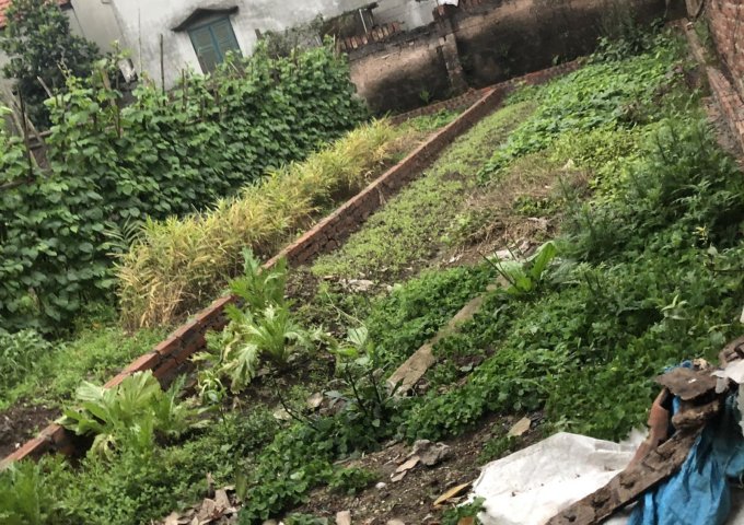 Đất đẹp tại làng Thu Quế, xã Song Phượng, Đan Phượng