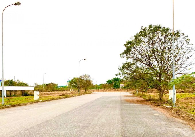 Đầu tư là lãi với dự án Dương Kinh New City  Hải Phòng