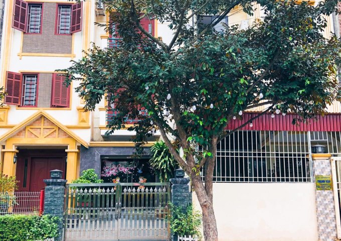 Đầu tư là lãi với dự án Dương Kinh New City  Hải Phòng