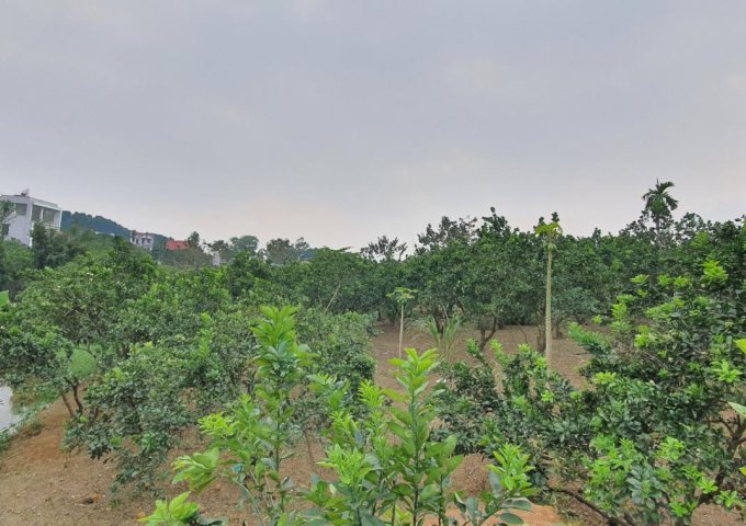 Cần bán 2938m2 đất có ao thả cá, làm nghỉ dưỡng tuyệt đẹp, tại TT Xuân Mai, Chương Mỹ, Hà Nội