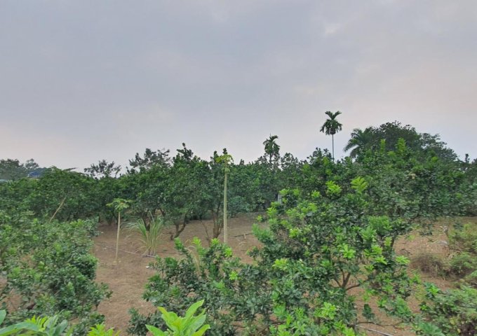 Cần bán 2938m2 đất có ao thả cá, làm nghỉ dưỡng tuyệt đẹp, tại TT Xuân Mai, Chương Mỹ, Hà Nội