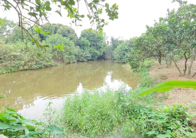 Cần bán 2938m2 đất có ao thả cá, làm nghỉ dưỡng tuyệt đẹp, tại TT Xuân Mai, Chương Mỹ, Hà Nội