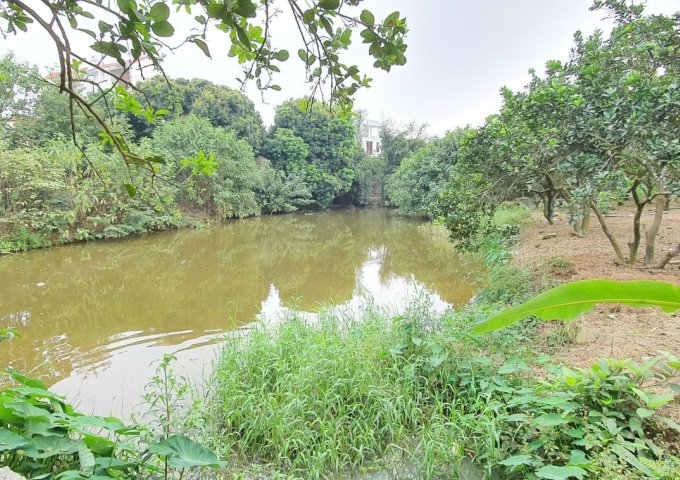 Cần bán 2938m2 đất có ao thả cá, làm nghỉ dưỡng tuyệt đẹp, tại TT Xuân Mai, Chương Mỹ, Hà Nội