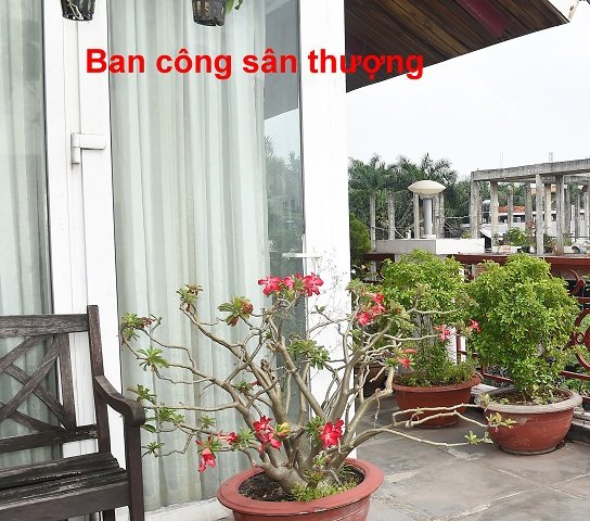 Bán biệt thự chính chủ 215D13 Nguyễn Văn Hưởng, P.Thảo Điền, Quận 2, TPHCM