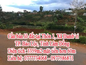 Cần bán lô đất tại Thôn 1, Xã Đamb'ri, TP. Bảo Lộc, Tỉnh Lâm Đồng